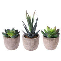 【cw】Artificial Succulent Plants Mini Artificial Bonsai Fake with Pots Decorative Ball Plants Artificial Flower Mini Plants