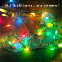 USB 5V WS2812B LED String WS2812 Addressable Individually RGB Dream Color Christmas Party Birthday Decoration Lights Waterproof