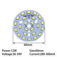 10ชิ้น12วัตต์ชิป Led Smd 5730กระแสคงที่280-300ma ลูกปัดไฟอินพุตกับฐาน Pelat Aluminium 60มม. 100มม. สำหรับหลอดไฟโคมไฟ Led