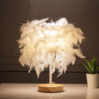 LED Night Light Fairy Light Feather Table Lamp DBattery USB Esk Living Room Christmas Gift Wedding Girl Bedroom Decoration Lamp