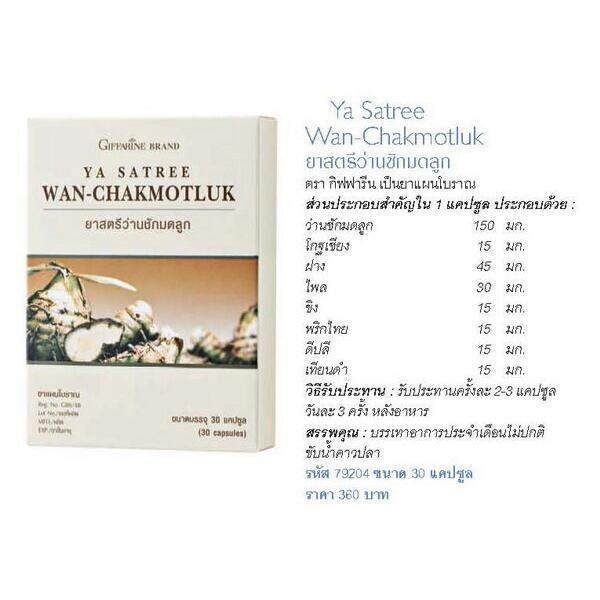 ว่านชักมดลูก-ว่านชักมดลูกกิฟฟารีน-ว่านชักมดลูกกิฟฟารีน-wan-chakmotluk