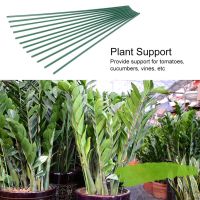 12Pcs Plant Climbing Stake ท่อเหล็กเคลือบพลาสติก สวน รองรับ Greenhouse Gardening เครื่องมือ