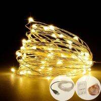 LED Strip 2-10m 20-100 Led Fairy Light String Outdoor Garland Christmas Wedding Party Decoration Battery Operated silver Copper