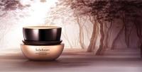 Tester Sulwhasoo Timetreasure Renovating Eye Cream 3 ml