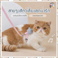 i and cat สายจูงสัตว์เลี้ยงแบบผ้าน่ารักสดใส สายปรับระดับได้ ปลอกคอผ้ารูปปลาและดาว ปลอกคอสัตงว์เลี้ยง สายจูงสัตว์เลี้ยงสีพาสเ