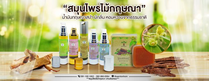 น้ำมันกฤษณา-ตราสามต้นหอม-ขวดปั้ม-สูญญากาศ-ขนาด-50-cc-กลิ่นมะลิ