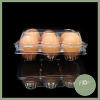 (แพคละ 100 ใบ) กล่องไข่6ฟองล็อค กล่องใส่ไข่ กล่องพลาสติกใส่ไข่6ฟอง สำหรับไข่ #0 #1 #2 ของใหม่ ร้าน PP702