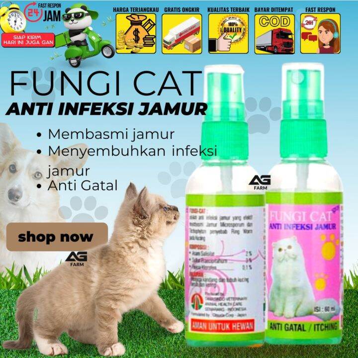 Fungi Cat Spray 60ml Obat Kulit Anti Jamur Gatal Kucing Cat Kitten 60