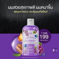 ?ส่งไว!!/พร้อมจัดส่ง? BBM Grape Seed Oil บีบีเอ็ม แชมพูเมล็ดองุ่น เส้นผมเงางามมีน้ำหนัก ผมดกดำ กระตุ้นเซลล์รากผม ขจัดรังเเคได้ดี บำรุงรากผม