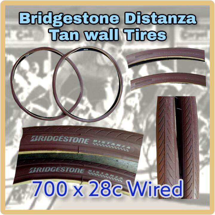 schwalbe lugano tan wall