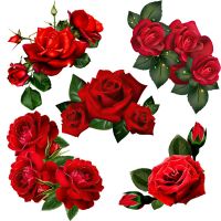 Three Ratels QCF217 Beautiful red rose wall sticker art for home decoration Toilet Decal Wall Stickers  Decals