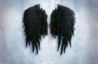 Jet Black Gothic Feather Angel Wings Art Picture พิมพ์โปสเตอร์ผ้าไหม Home Wall Decor