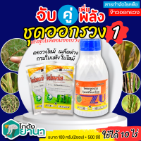 ? ชุดออกรวง1 คูโปรราซ+ไตรไซคลาโซล ขนาด 500ซีซี+100กรัมx2ซอง ป้องกันโรคเมล็ดด่าง ใบไหม้ คอรวงไหม