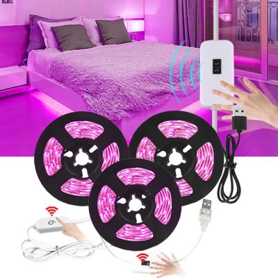 5V USB LED Strip Lights TV Backlight 0.5M 1M 2M 3M Purple Pink LED Ribbon Diode Tape for Home Room PC Screen Wall Background