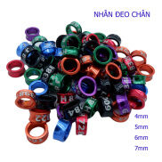 NHẪN ĐEO CHÂN CHO CHIM CẢNH, VẸTcó nhiều màu sắc