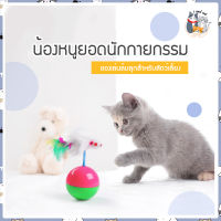 i and cat น้องหนูยอดนักายกรรม หนูบนลุกบอล ของเล่นเสริมพัฒนาการน้องแมว