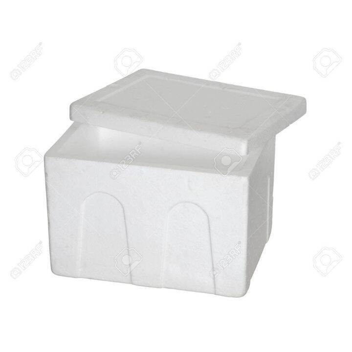 Styrofoam Box Packaging D'Kochet Frozen Food Lazada