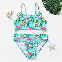 Girls Bikini Suits 6-15Years Two-Pieces Summer Bathing Suits Fashion Girls Swimsuits Sports Swimwear for Kids Girls CZ984