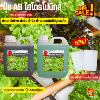 Garden Soil &amp; Fertilizers ปุ๋ย A B ไฮโดรโปนิกส์ ช่วยให้ต้นไม้เติบโตแข็งแรง ขนาด 1 ลิตร x 2 แกลลอน A+B