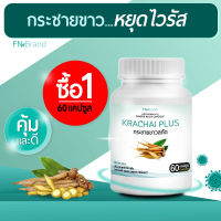 [พร้อมส่ง! ส่งไว] FN Krachai Plus (1 กระปุก 60 แคปซูล) กระชายขาวแคปซูล กระชายขาว พลูคาว ขิง