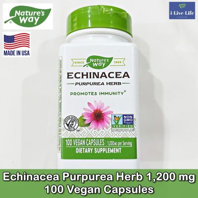 สารสกัดเอ็กไคนาเซีย Echinacea Purpurea Herb 1,200 mg 100 Vegan Capsules - Natures Way
