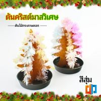 ต้นคริสต์มาสวิเศษ ต้นไม้กระดาษดอก ของขวัญแสนสนุก  magical christmas tree