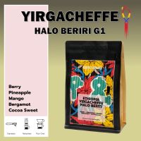 Coffee Hunter Roasters เมล็ดกาแฟคั่ว Yirgacheffe Halo Beriti G1