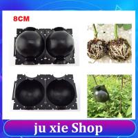 JuXie store 8cm Fruit Tree Root Box Plant Rooting Ball Case Planter Cases Grafting Rooting Growing Breeding Garden Tools Supplies