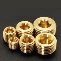 M8 M10 M12 M14 M16 M18 M20 M22 Metric Male Thread Brass Internal Hex Socket Pipe Fitting Plug End Cap Adapter Connector