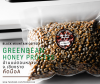 สารกาแฟดิบ HoneyProcess แม่ตอนหลวง เทพเสด็จเชียงใหม่บรรจุ500กรัม