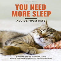 You need to sleep more: advice from cats[English original]Advice from Cats