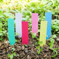 【hot】ஐ  100-piece Garden Label Plastic Tray Marking Growth