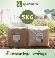 ?ข้าวหอมปทุม (ขนาด 5 กิโล) ชนิดกล้อง-ขาว ?ข้าวออแกนิก100% ?ข้าวใหม่สีข้าวได้ทุกวัน ?‍? จากเกษตรกรบ้านหน้าวัง พัทลุง