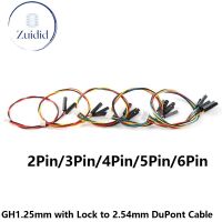 10/5pcs GH1.25 to 2.54 DuPont 1P Terminal Wire GH1.25mm 2 3 4 5 6 Pin to 2.54mm DuPont Head Cable Connector Line 20CM with Lock