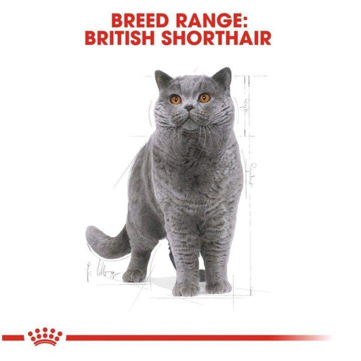 royal-canin-british-shorthair-adult-cat-food-อาหารแมวพันธ์บิสติส-อายุ-1-ปี-ขึ้นไป-ขนาด-2-กก