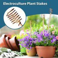 Plant Sticks 6 PCS Electro Culture ทองแดงเสาอากาศขดลวดพืชและรองรับสำหรับปลูกพืชสวนมะเขือเทศ Peony Lily