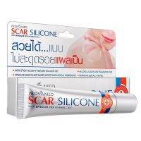 ? Provamet Scar Silicone โปรวาเมท เจลซิลิโคน ใส บางเบา ลดรอยแผลเป็น แผลเป็น ขนาด 10 กรัม 18974 [ ลดล้างสต๊อก ]