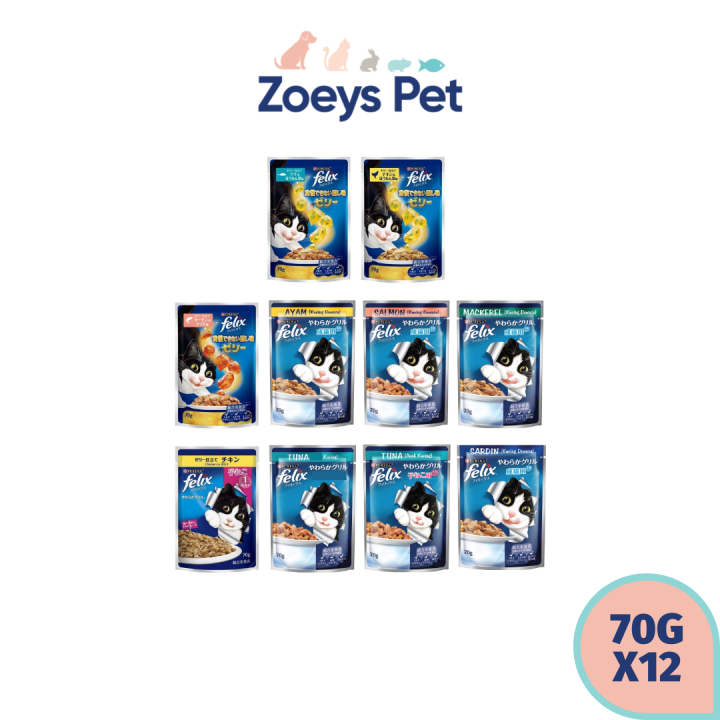 Felix Cat Pouch 70gx12pcs Lazada