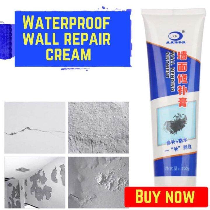 Wall Plaster Repair Paste to Cover Holes s Graffiti / 250g Drywall