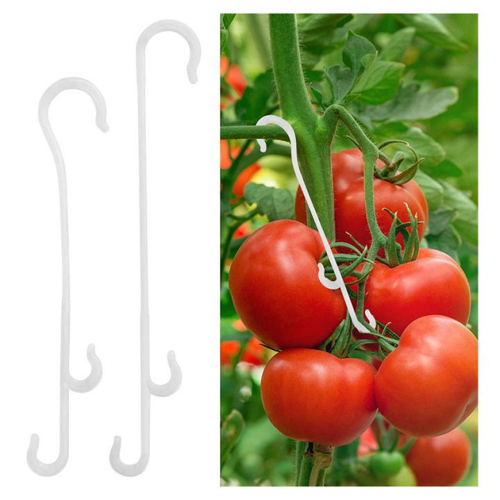 Ttlife 100 Pcs Tomato Support Hooks Tomato Truss Hooks Tomatoes