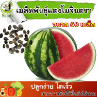 **ส่งไว**  เมล็ดพันธุ์ แตงโมจินตหรา 50 เมล็ด เนื้อแน่น แดงจัด หวาน เปลือกบาง ขายดี เมล็ดแตงโม แตงโมจินตรา