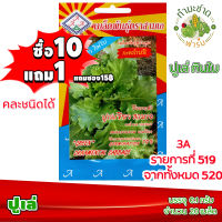 (ซื้อ10แถม1) เมล็ดพันธุ์ ปูเล่ Green Ornamental kale ประมาณ 20เมล็ด 3A สามเอ ผักสวนครัว เมล็ดพันธุ์พืช เมล็ดผัก เม็ดผัก พืชผัก