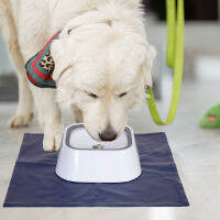 BingoPaw สำหรับสุนัขและแมว ชามให้น้ำ Pet Dog Water Feeder Bowl น้ำไม่กระเด็น ด้วยเสื่อกันน้ํา