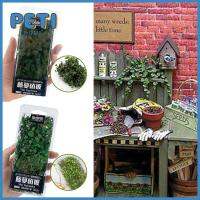 Pethome แบบ DIY เครื่องประดับของเล่นรางรถไฟสวนนางฟ้าแบบจำลองพืชเลื้อยทิวทัศน์ใบหวายจำลองภูมิทัศน์ขนาดเล็ก