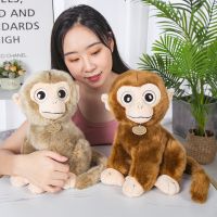 Sitting Height 20/30cm toys silly cute dolls home decorations doll simulation animal cartoon monkey long tail