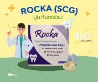 ปูน ROCKA STONE White สีขาว จัดฟัน