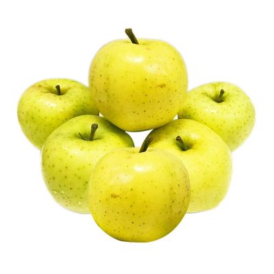 20 เมล็ด เมล็ดแอปเปิ้ล สายพันธุ์ แอปเปิล โทกิ ของแท้ 100% อัตรางอกสูง 70-80% Apple seeds มีคู่มือปลูก