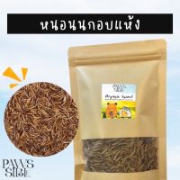 (paws-sible) หนอนนกอบแห้ง แมลงอบแห้ง ขนมแฮมเตอร์ ขนมสัตว์ฟันแทะ อาหารสัตว์ฟันแทะ อาหารชูการ์ไกล์เดอร์ อาหารชูก้า