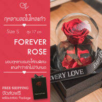 กุหลาบในโหลแก้ว Size S สูง 17 cm Preserved Rose ดอกกุหลาบปลอม ของขวัญรับปริญญา ดอกไม้ปลอมสวยๆ ดอกไม้ปลอม ของขวัญจับฉลาก ของขวัญครบรอบ ของขวัญ【ของแท้】