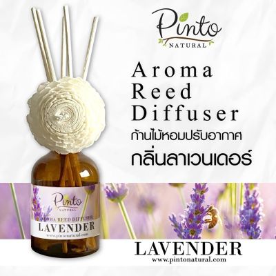 Pinto Natural Aromatic Reed Diffuser ก้านไม้หอมปรับอากาศ กลิ่นลาเวนเดอร์ Lavender ขนาด 50ml. และ 100ml.